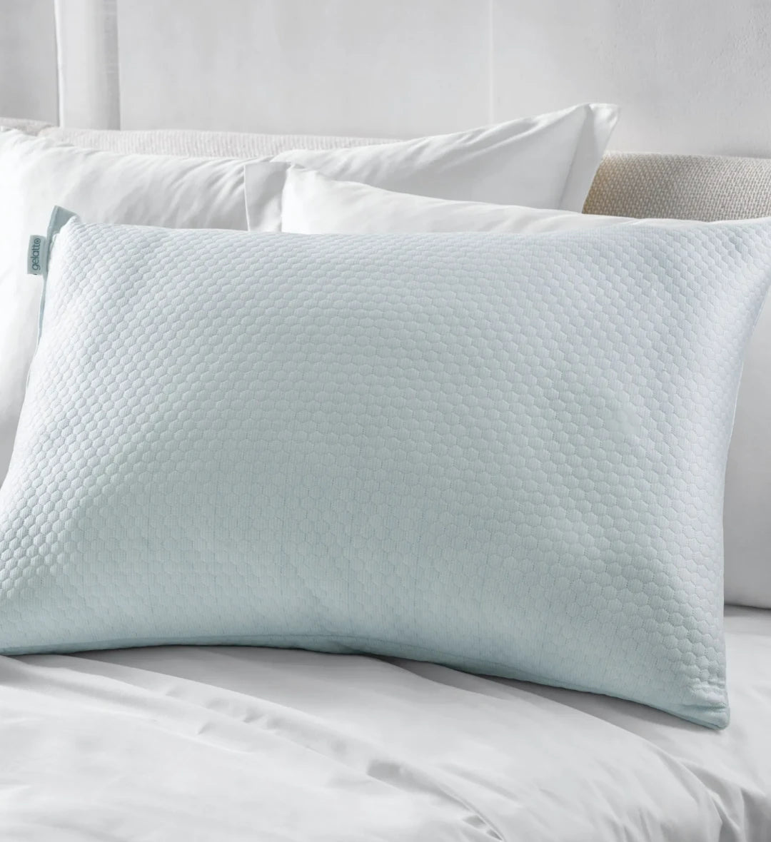 Travesseiro Altenburg Gelatto