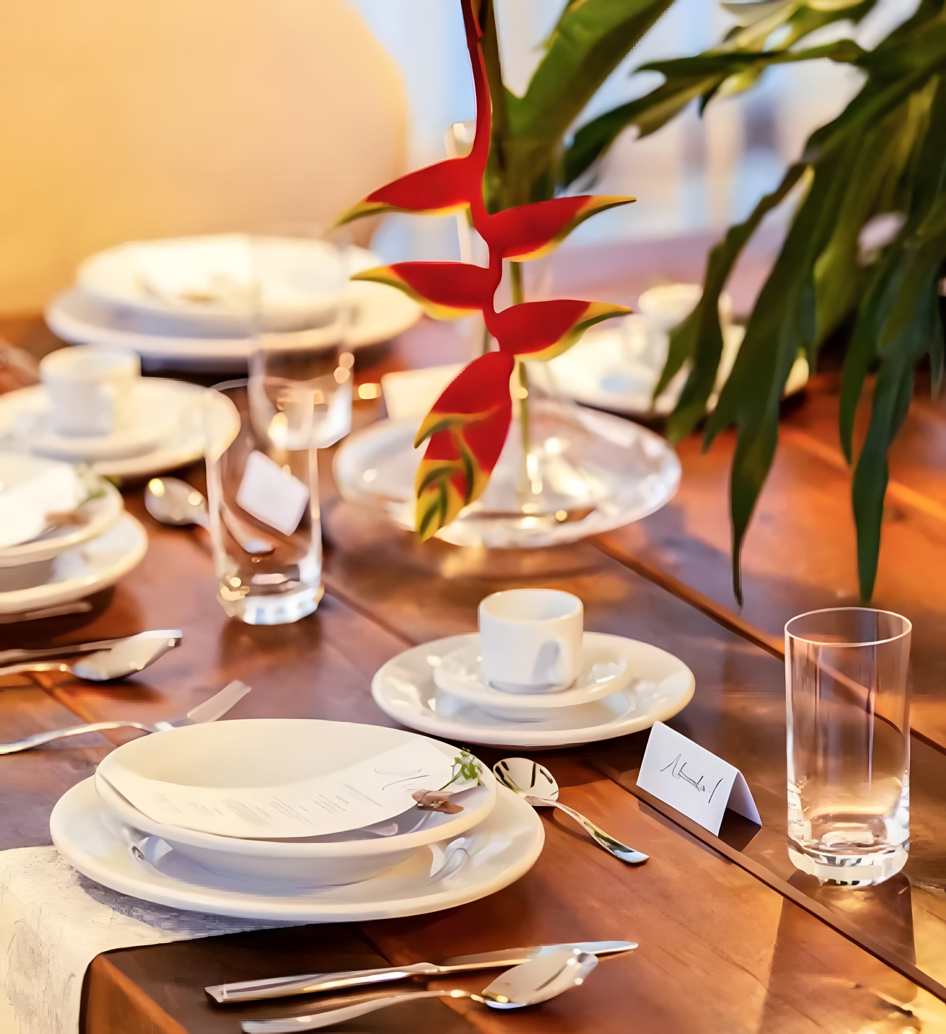 Prato Fundo 23 Cm Gourmet Branco